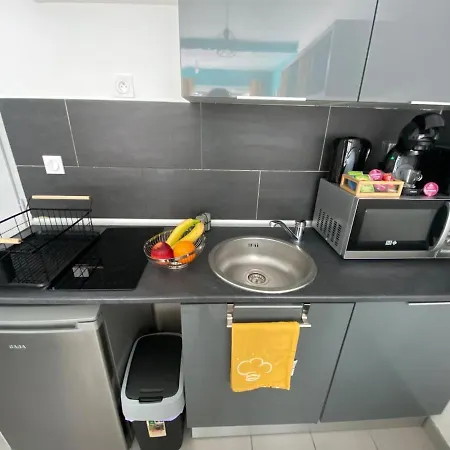 Le Petit Cocoon - Calme - Parking -tram - Terrasse - Lyon - Ol - Eurexpo Apartmán *